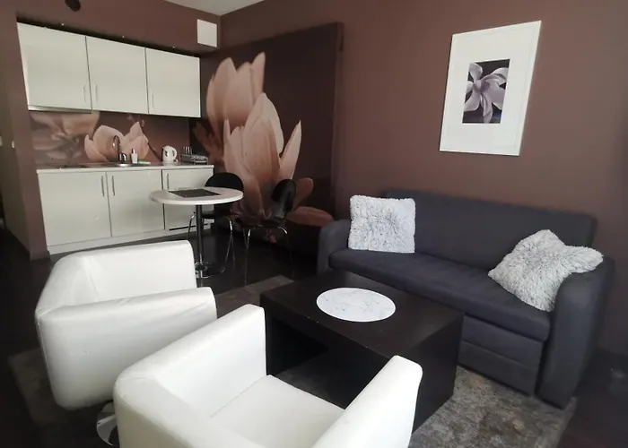 Prywatny 2-pokojowy Z Aneksem Kuchennym W Diva Apartment *